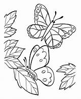 Kolorowanki Owady Motyle Motylami Kolorowania Obrazki sketch template