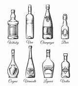 Alcool Flaschen Alkoholflaschen Alkohol Gezeichnete Imbottiglia Disposizione Stile Disegnato Dragen Brandy Zeichnungen sketch template