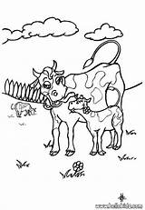 Coloring Pages Cows Herd Cow Popular Farm Cute sketch template