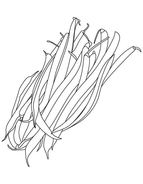 green beans coloring pages learny kids