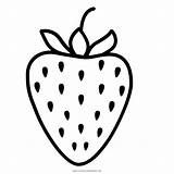 Fresa Dibujo Pinclipart Strawberries Ultracoloringpages sketch template