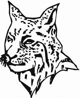 Bobcat Coloring Pages Face Articles Pro Getdrawings Drawing sketch template