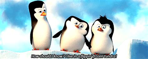 Penguins Of Madagascar Movie Quotes Quotesgram