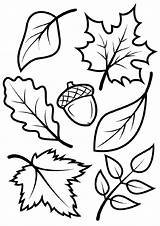 Coloring Fall Leaves Kids Pages Printable Leaf Sheets Template Autumn Schablone Herbst Print Tree Activities Vorlagen Igel Tier Worksheets Adults sketch template