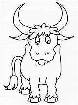 Bull Coloring Pages Printable Kids sketch template