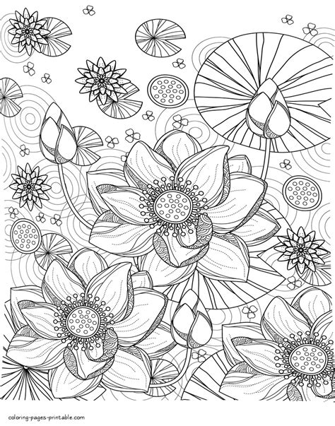water lily coloring page coloring pages printablecom