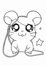 Coloring Hamtaro Pages Cartoon Characters Printable Coloriage Cute Colouring Animal Drawings Tv Series Kids Barbie Choose Board Sheets Popular sketch template