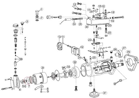 delphi injection pump parts diagram hot sex picture