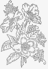Bordar Imprimir Plantillas Florales Videojuegos sketch template