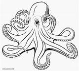 Octopus Coloring Pages Realistic Adult Drawing Printable Kids Cool2bkids Clipart Drawings Ocean Vector Sea Clip Illustrations Animals Getdrawings Queer sketch template