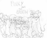 Pinky Cerebro sketch template