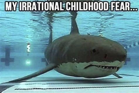 these shark memes have some bite flipper friends memes
