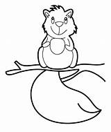 Squirrel Coloring Baby Pages Cute Flying Cartoon Raccoon Clipart Squirrels Color Cliparts Library Getcolorings Getdrawings Popular Comments Template sketch template
