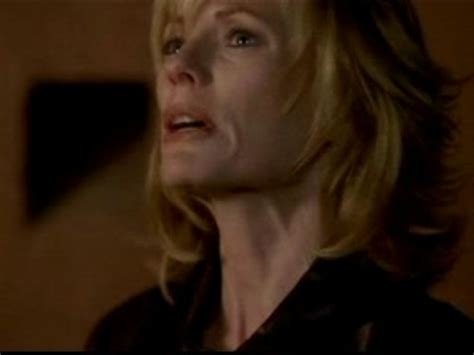 catherine willows images 1x10 sex lies and larvae hd wallpaper and background photos 19204136