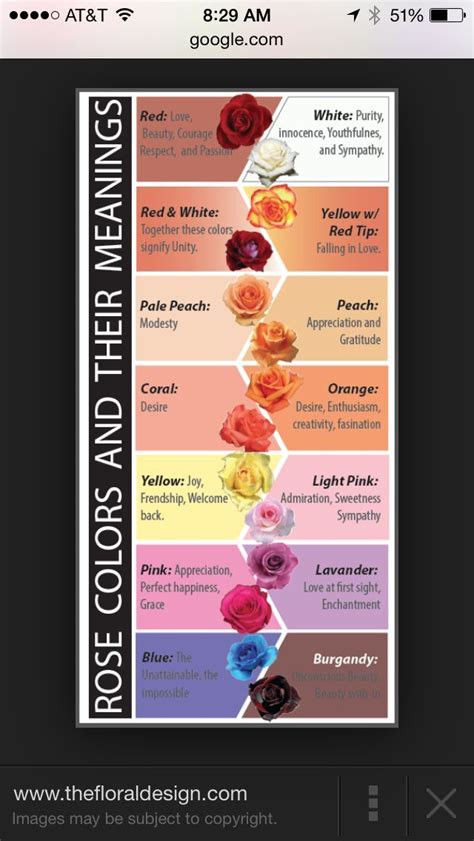the meaning of roses rose color meanings flower meanings color meanings