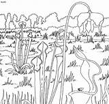 Coloring Pages Animal Prairie Grasslands Dog Animals Pitcher Plant 4to40 Sheets Kids Book Template Gif sketch template