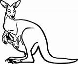 Kangaroo Coloring Zoo Drawing Baby Printable Wecoloringpage Kids Getdrawings sketch template