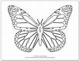 Butterfly Coloring Pages Printable Butterflies Monarch sketch template