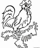 Rooster Coloring Animal Farm Pages Printable sketch template