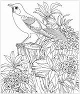 Coloring Birds Pages Coloriage Difficile Printable Dessin Bird Adults Imprimer Kids Color Print Animaux Pour Fille Children Colorier Magique Dessins sketch template