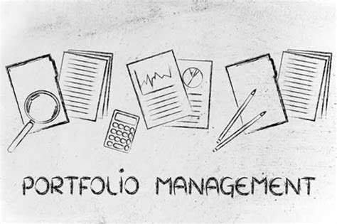 portfolio management definition meaning optimy wiki