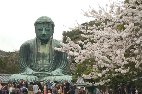 big buddha daibutsu giant buddha effagies  japan
