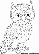 Hibou Adultos Chouette Coruja Owls Visiter Colorpagesformom sketch template