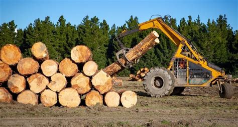 start  logging company