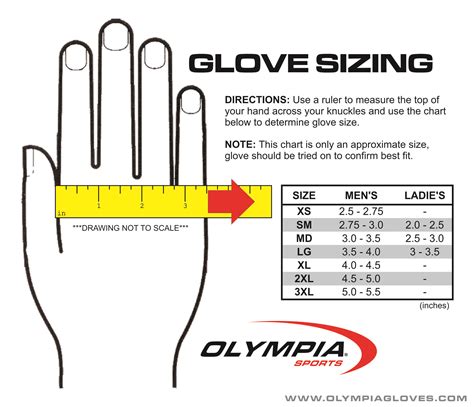 size chart  gloves