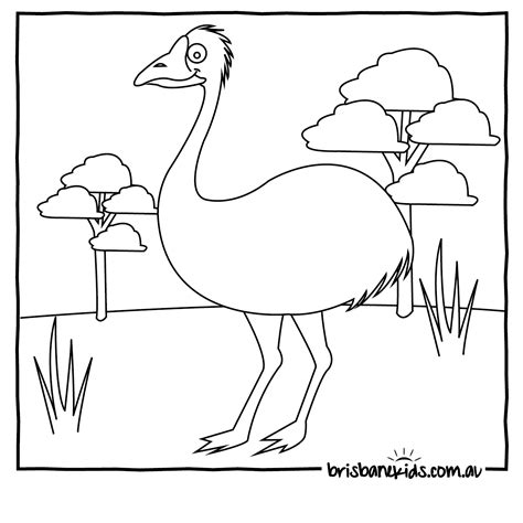 emu colouring  zoo animal coloring pages horse coloring pages