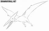 Draw Pterodactylus Drawing Drawingforall Ayvazyan Stepan Tutorials Animals Posted sketch template