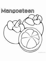 Mangosteen sketch template