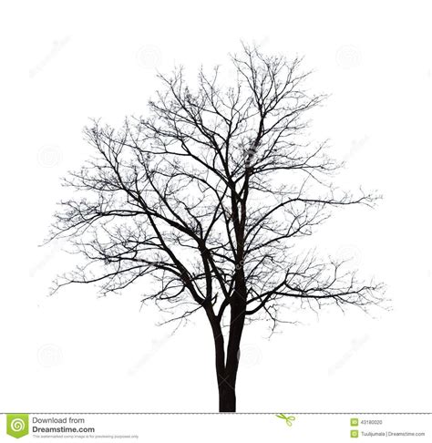 silhouette winter tree buscar  google winter tree drawing family