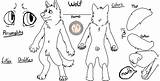Wolf Furry Sheet Ref Reference Blank Use Fox Deviantart Drawing Base Anthro Group Visit Payday Loans Colors sketch template
