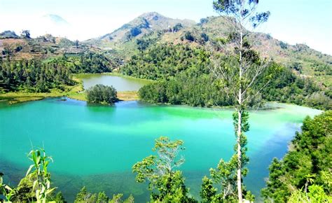 deretan destinasi wisata alam  wonosobo telaga warna hingga bukit sikunir okezone travel