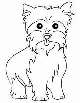 Coloring Yorkie Pages Yorkshire Printable Terrier Dog Puppy Color Drawing Teacup Maltese Yorkies Puppies High Dessin Dogs Colouring Cute Print sketch template