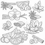 Antistress Spices sketch template
