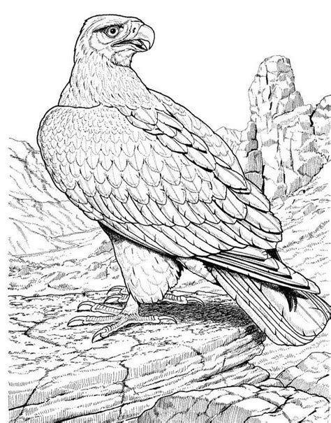 images  eagle coloring pages  pinterest pencil