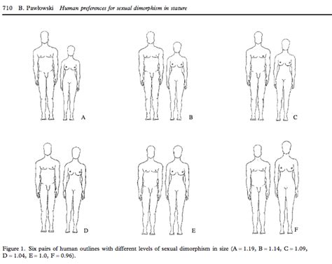 what is the optimal or perfect height ratio and difference for