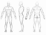 Drawing Body Anatomy Human Man Sketches Reference Drawings Guy Character Sketch Muscular Photobucket sketch template