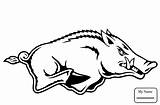 Razorback Coloring Boar Arkansas Razorbacks Printable Pages Svg Outline Drawing Clipart Logo Clip Wild Ar Stencil Pig Cliparts Hog Digital sketch template