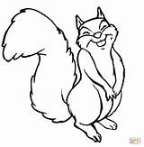 Squirrel Coloring Clipart Clipground Pages sketch template