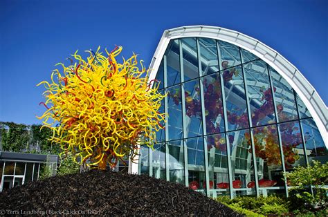 Photo Tour Chihuly Garden And Glass Chihuly Photo Chihuly Garden