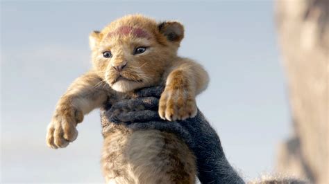 resource  lion king  film guide  film