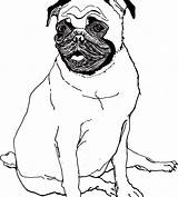 Coloring Pages Cute Pug Baby Puppy Getcolorings Dog Printable Amazing sketch template
