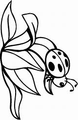 Coloring Bugs Kids Printables Bug Pages Color Central sketch template