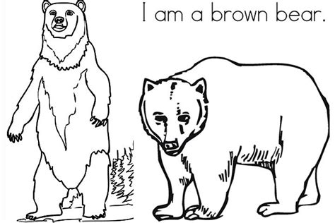 top   printable brown bear coloring pages  bear coloring