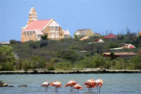 flamingos vakantie curacao fotoboek