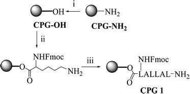 solid phase method  peptidesirna covalent conjugates based
