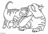 Katzen Malvorlagen Malvorlage Ausdrucken Zeichnungen sketch template